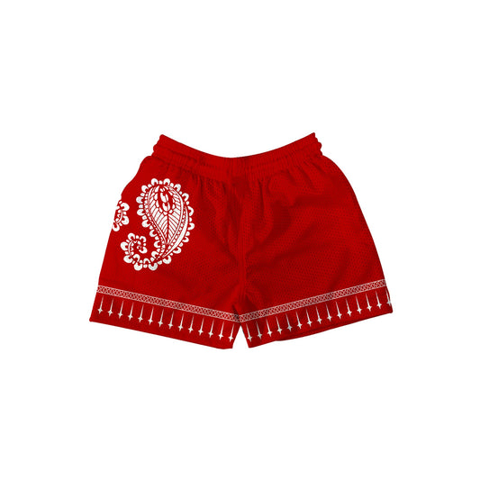 PAISLEY BIG RED Mesh Shorts