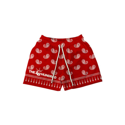 PAISLEY PRINTED RED Mesh Shorts
